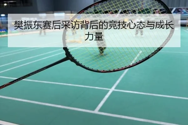 樊振东赛后采访背后的竞技心态与成长力量