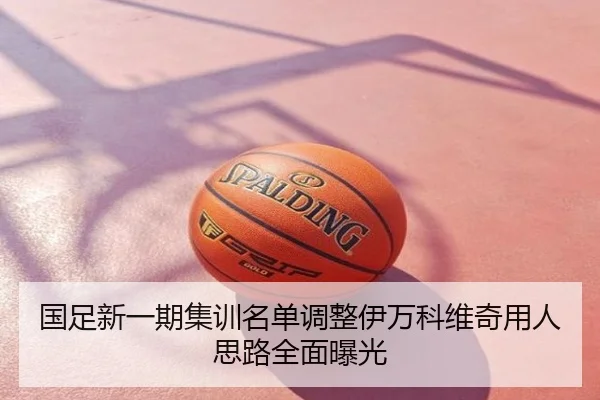 国足新一期集训名单调整伊万科维奇用人思路全面曝光