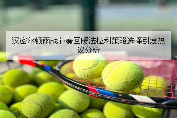 汉密尔顿雨战节奏回暖法拉利策略选择引发热议分析